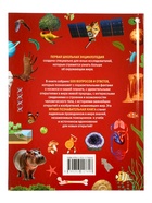 Первая школьная энциклопедия в твёрдом переплёте, 160 стр. - фото 122246384