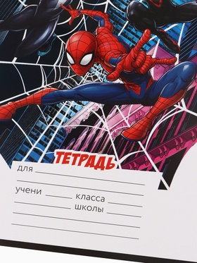 Тетрадь 12 листов в клетку «Паутина»  (артикул 10963492)  большой выбор товаров оптом и в розницу по низким ценам с доставкой