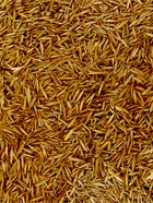 Газон медленнорастущий «Лилипут», 0.5 кг - Фото 4