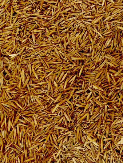 Газон медленнорастущий «Лилипут», 0.5 кг