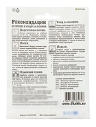 Газон Солнечный «Зеленый квадрат», 30 г - Фото 2