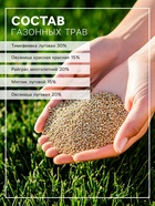 Газон для Сибири и Урала «Зеленый квадрат», 8 кг - Фото 2