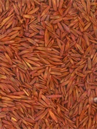 Газонная травосмесь для быстрого восстановления газона POWERSEED, 1 кг - Фото 4