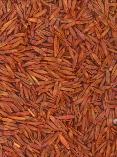 Газонная травосмесь для быстрого восстановления газона POWERSEED, 1 кг