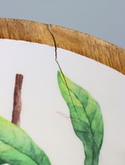 УЦЕНКА Салатник «Лимоны» дерево манго 25×25×10 см - Фото 5