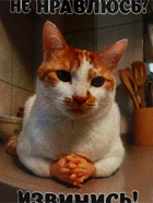 Кружка керамическая «Извинись!», 320 мл - Фото 3