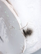 УЦЕНКА Копилка «Собака Далматинец» 33 см - Фото 11