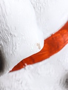 УЦЕНКА Копилка «Собака Далматинец» 33 см - Фото 6