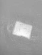 УЦЕНКА Люстра BayerLux Подвес BayerLux "Сафари 2" 1 лампа 15W E27 прозрачный - Фото 6