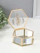 Шкатулка стекло с металлическим каркасом "Сухоцветы" многогранник 11,3х13х5,7 см - фото 809553360