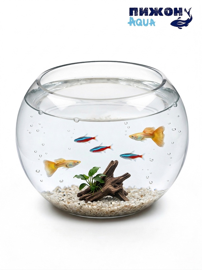 Аквариум круглый, 13.5×14.5 см, стекло, прозрачный - Фото 1