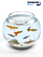 Аквариум круглый, 16×17 см, стекло, прозрачный 10967822