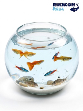 Аквариум круглый, 16×17 см, стекло, прозрачный  (артикул 10967822)  большой выбор товаров оптом и в розницу по низким ценам с доставкой