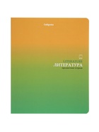 Комплект 12 предметных тетрадей «Градиент», 48 листов, справочная информация, 60 г  (артикул 10963341)  большой выбор товаров оптом и в розницу по низким ценам с доставкой