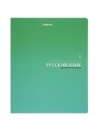 Комплект 12 предметных тетрадей «Градиент», 48 листов, справочная информация, 60 г - Фото 11