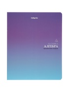 Комплект 12 предметных тетрадей «Градиент», 48 листов, справочная информация, 60 г  (артикул 10963341)  большой выбор товаров оптом и в розницу по низким ценам с доставкой