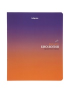 Комплект 12 предметных тетрадей «Градиент», 48 листов, справочная информация, 60 г  (артикул 10963341)  большой выбор товаров оптом и в розницу по низким ценам с доставкой