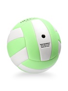 Волейбольный мяч, р. 5, 18 панелей, PVC, зелёный 10971414