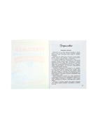 Тренажер по чистописанию «Русский язык», 1 класс, Субботина Е.А., 32 стр. 11000489