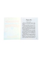 Тренажер по чистописанию «Русский язык», 2 класс, Субботина Е.А., 32 стр. 11000491