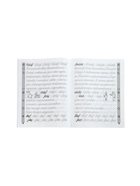 Тренажер по чистописанию «Русский язык», 2 класс, Субботина Е.А., 32 стр. 11000491