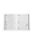 Тренажер по чистописанию «Русский язык», 3 класс, Субботина Е.А., 32 стр. 11000492