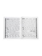 Тренажер по чистописанию «Русский язык», 3 класс, Субботина Е.А., 32 стр. 11000492