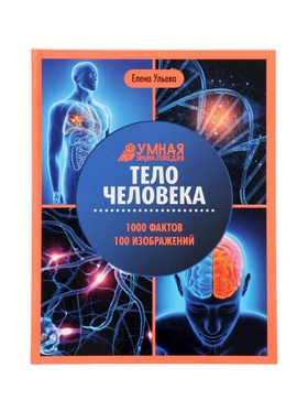 Энциклопедия «Тело человека», Ульева Е.А., 96 стр. 11000512