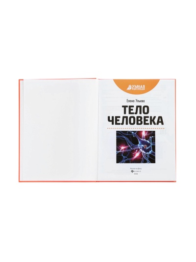 Энциклопедия «Тело человека», Ульева Е.А., 96 стр.
