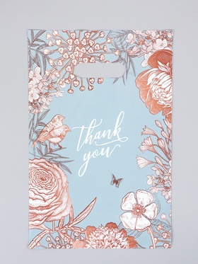 Пакет подарочный полиэтиленовый с вырубной ручкой «Цветы вокруг», 20×30 см, 60 мкм