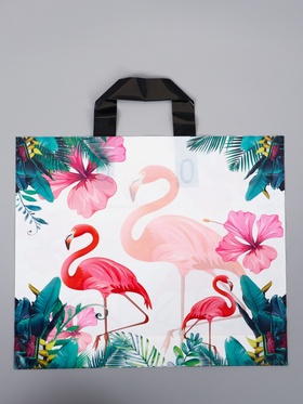 Пакет полиэтиленовый с петлевой ручкой «Фламинго» светлый, 35×30×8 см, 60 мкм
