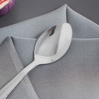 УЦЕНКА Набор ложек чайных «Соня», длина 15.5 см, набор 12 шт. - Фото 2