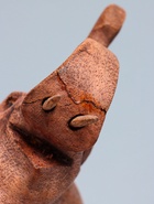 УЦЕНКА Сувенир дерево «Слон резной» 20×8×16 см - Фото 7