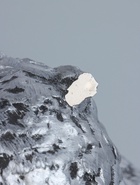 УЦЕНКА Копилка «Сова с книгой» серебро, 21×17×35 см - Фото 6