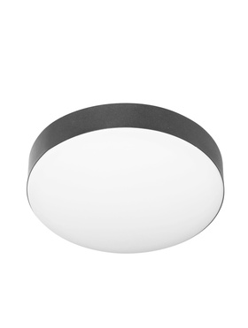 Светильник потолочный LED Relict 22 SPB-6-20, 20 Вт, 4000К, 21×5 см, без ПДУ, чёрный