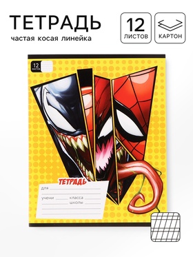 Тетрадь 12 листов, частая косая линейка, «Черная паутина»