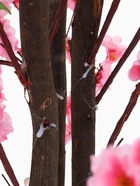 УЦЕНКА Дерево искусственное «Сакура» 170 см - Фото 6