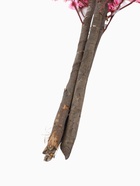 УЦЕНКА Дерево искусственное «Сакура» 170 см - Фото 8