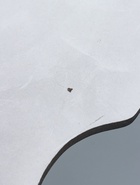 УЦЕНКА Панно «Голова льва» бронза/черный, 40 см - Фото 12