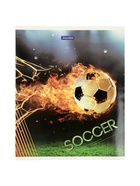 Комплект 12 тетрадей «Футбол», 48 листов в клетку, 60 г  (артикул 10968142)  большой выбор товаров оптом и в розницу по низким ценам с доставкой