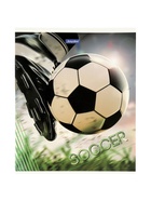 Комплект 12 тетрадей «Футбол», 48 листов в клетку, 60 г  (артикул 10968142)  большой выбор товаров оптом и в розницу по низким ценам с доставкой