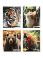 Комплект 12 тетрадей «Животные», 48 листов в клетку, 60 г  (артикул 10968144)  большой выбор товаров оптом и в розницу по низким ценам с доставкой