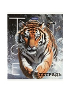 Комплект 12 тетрадей «Животные», 48 листов в клетку, 60 г  (артикул 10968144)  большой выбор товаров оптом и в розницу по низким ценам с доставкой