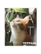 Комплект 12 тетрадей «Животные», 48 листов в клетку, 60 г  (артикул 10968144)  большой выбор товаров оптом и в розницу по низким ценам с доставкой
