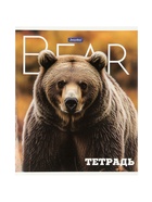 Комплект 12 тетрадей «Животные», 48 листов в клетку, 60 г  (артикул 10968144)  большой выбор товаров оптом и в розницу по низким ценам с доставкой