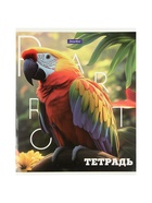 Комплект 12 тетрадей «Животные», 48 листов в клетку, 60 г  (артикул 10968144)  большой выбор товаров оптом и в розницу по низким ценам с доставкой