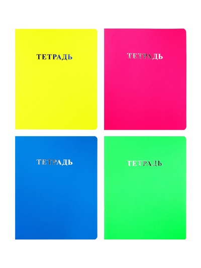 Комплект 12 тетрадей, 48 листов в клетку, 60 г, матовая обложка