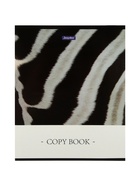 Комплект 12 тетрадей «Природные расцветки», 48 листов в клетку, 60 г  (артикул 10968151)  большой выбор товаров оптом и в розницу по низким ценам с доставкой