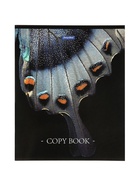 Комплект 12 тетрадей «Природные расцветки», 48 листов в клетку, 60 г  (артикул 10968151)  большой выбор товаров оптом и в розницу по низким ценам с доставкой