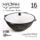УЦЕНКА Казан, 16 л, плоское дно, нет крышки, чугун - Фото 1